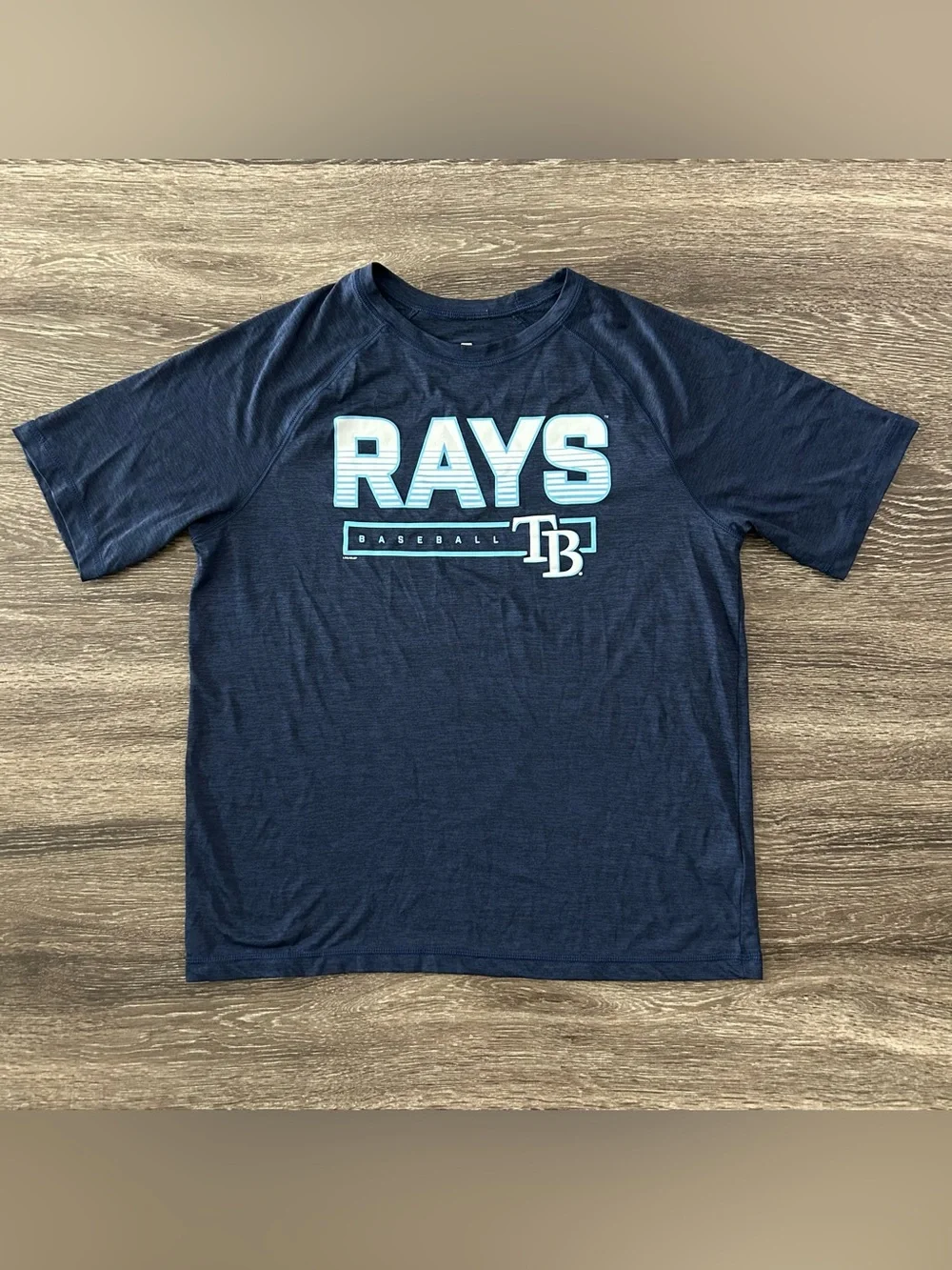 Tampa Bay Rays Navy Dark Blue Shirt Men’s L TB Baseball Graphic Athletic Workout